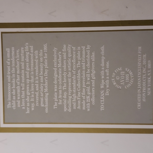 Avon Rare 1995 Vintage Mother's Day Plate in Original Box Rare Oversized Plate - Picture 4 of 10